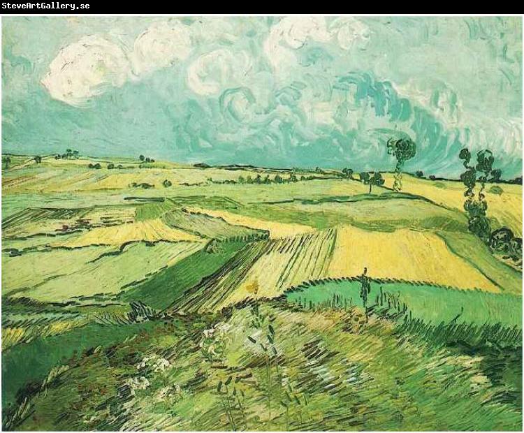 Vincent Van Gogh Wheatfield at Auvers under Clouded Sky